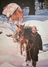 Le coureur des bois du 19ème siècle avec ses mules