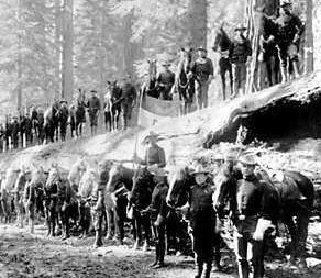 U.S. National Park Service Historic Photograph Collection Catalog Number: HPC-000602, Public Domain