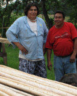 Ojibway Indians Harvesting Lodge Poles